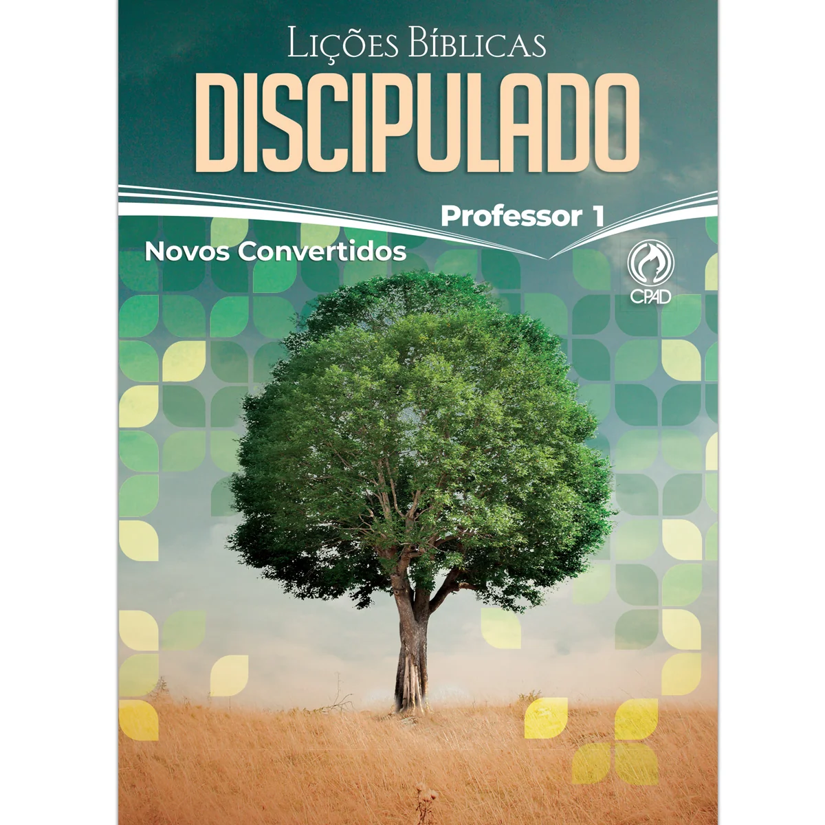 Discipulado 01 - Professor