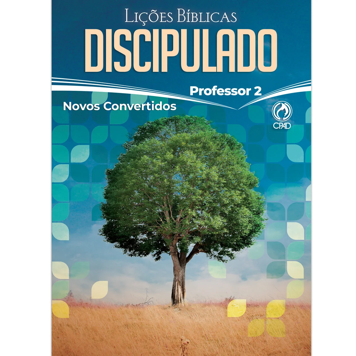Discipulado 02 - Professor